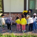 고인돌 유아숲체험원 이미지