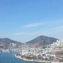 여수오동도 - 종로구 | 여수오동도