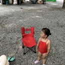 1키로 탕수육 평택비전점 | 31개월아기랑 영월 느티별캠핑장 계곡, 수영장, 방방 있는 키즈캠핑장