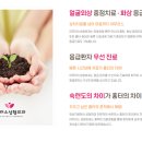 아무러스성형외과의원