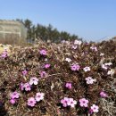 봉대마을회관 이미지