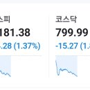 현재 코스피코스닥 지수 이미지