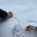 투스노스 이미지