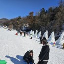 용인대 신안키즈태권도장 | 파주키즈태권도장 신안키즈태권도장, 우리 아이의 숨은 능력을 깨우다