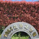 크로바쉼터 이미지
