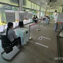 박씨청과