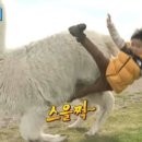 새물목장 이미지