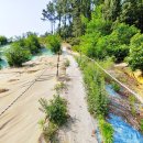 반남박씨박원도묘 이미지