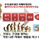 면역생활 이미지