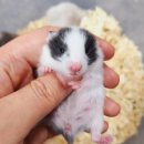 (주)모프 이미지