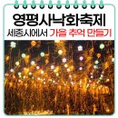 세종영평사낙화축제 가을 축제 딱 한곳만 간다면 여기