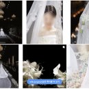 비교 분석 견적 엑셀 공유 (모연스냅, 데이데이스냅, 로브드블랑, 위드정우, 나인포토스냅, 스냅 1108호)