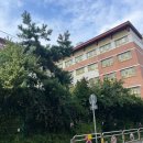위키어린이집 | 성동구 임장(청계현대, 청계벽산, 하왕십리 금호베스트빌, 행당대림)