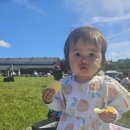 솜마(나) 이미지