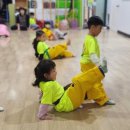 명성 바른자세 태권도 네이버블로그