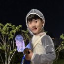 사슴벌레 | 평택 사슴벌레 장수풍뎅이 채집 후기 장소 공유 주차장 꿀팁 참나무 수액