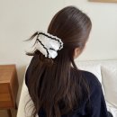 H8192 이미지