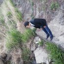 대현송어 이미지