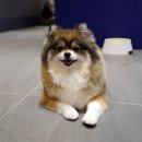 어나더베이비동탄라크몽점