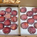 박성환농장 이미지