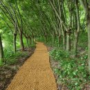 감동벼룻길 이미지