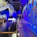 땅끝관광지 | 아기와 해남 가볼만한 곳 땅끝 해양 자연사박물관 후기