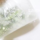 알콩푸드 이미지