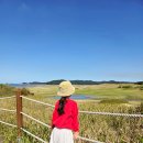 예산-57 | 태안 :) 신두57 캠핑장 내돈내산 방문 후기/명당사이트, 물때보는법,해루질 준비물 공유 아이와가기좋은...