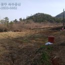 영광공인중개사사무소 이미지