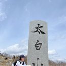 태백산 국립공원 단거리 등산코스 유일사 주차장 장군봉 천제단 100대 명산