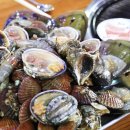 보령베스트 이미지