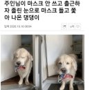 없음 이미지