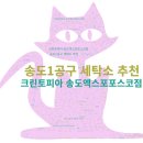 엑스포세탁소 이미지