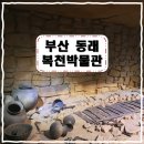 2025 목요상설 음악회 아트살롱 <라틴밴드 겟츠와 함께하는 쿠바 사계절 여행> | 부산 동래 복천박물관 _ 동래문화회관 대극장 : 뮤지컬 퍼포먼스 세레나데