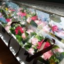 신릉초등학교(병설) 이미지