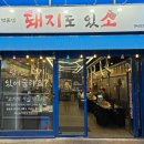 돼지도있소 이미지