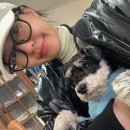 강생이천국 이미지