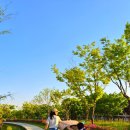 여울공원 | 🐻6세 7세 남자아이와 동탄 여울공원 후기 워터 리본 개장 정보까지!