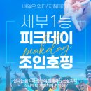 세부 피크데이 호핑투어 추천 내돈내산 후기, 가격, 팁, 복장