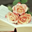 남다른 결과를 만드는 프롬프트 엔지니어링 | 프롬프트 엔지니어링을 활용한 콘텐츠 제작: 블로그, 책, 기사 및 보도자료 작성법