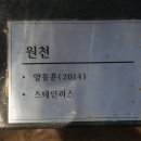 신치현 상록수 이미지