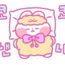 디자인슈 네이버블로그