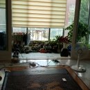 청룡동-32 이미지