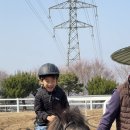 마림목장 이미지