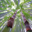 샘양지마을 이미지