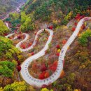 “외로운 남자의 여행…” 가을 단풍길 추천 [혼자 여행 떠나기] 이미지