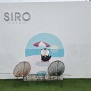 시로 B 풀빌라 | [여수] 여수 풀빌라 리조트 솔직 방문 후기 시로리조트&amp;풀빌라