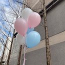 전주) 특별한 날을 더욱 특별하게 해주는 [쏘해피벌룬] 이용 및 체험후기 🎈