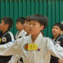 화랑합기도 특공무술 이미지