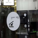 에스동물의료센터